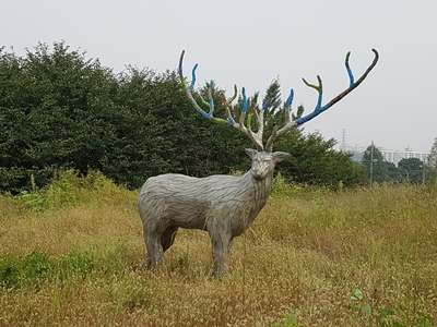 3회 개인전
